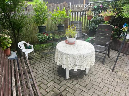 PHOTO-2023-11-02-17-12-42 11.jpg - 