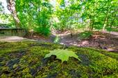 RehbergePark - 