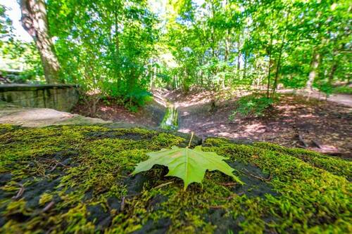 RehbergePark - 