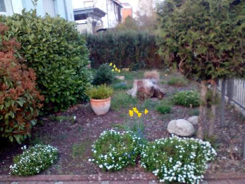 Blumengarten frontal - 