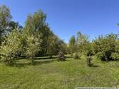 Gartenimpressionen - 