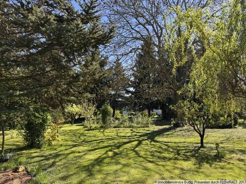Gartenimpressionen - 