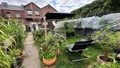 Marl Neu 25 Garten._ - Willkommen Zuhause...! Gemütliches renoviertes Reihenmittelhaus mit liebevoll gestaltetem Garten