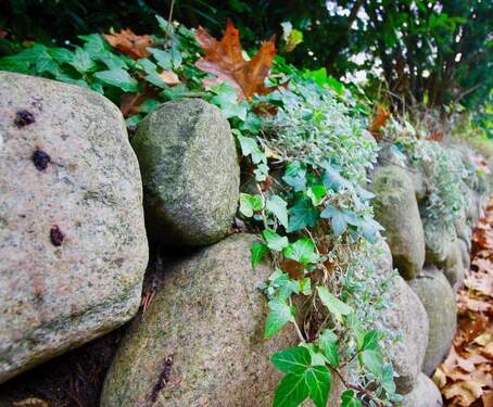 Friesenmauer - 
