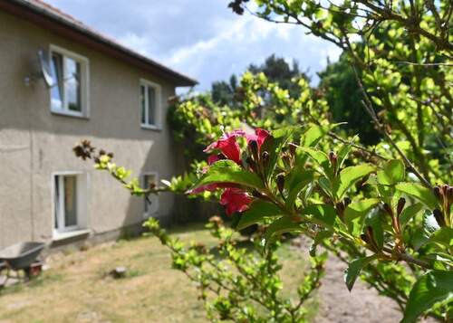 aussen-groß-kreutz148.jpg - frische Bio-Eier inklusive! Zwei-Familienhaus Nähe Potsdam