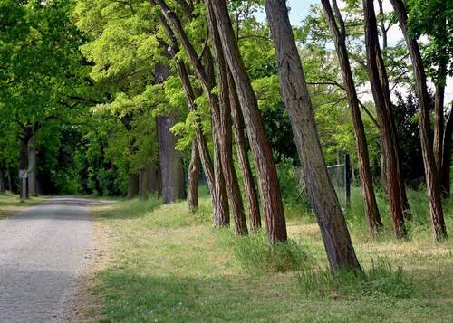 aussen-groß-kreutz170.jpg - 