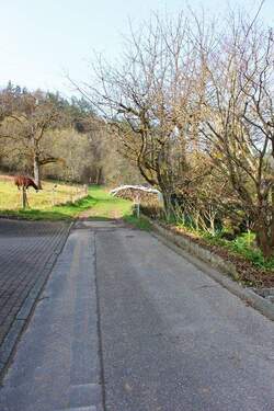 Direkt in der Natur.JPG - 