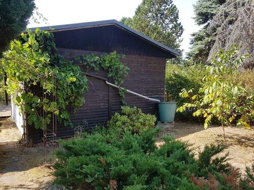 Gartengrundstück (2) - 3 Zimmer Bungalow zum Kaufen in Dresden