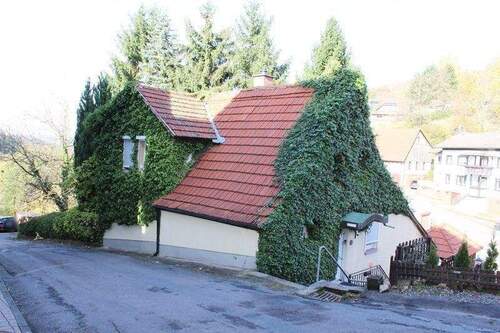 Frontansicht.JPG - 4 Zimmer Einfamilienhaus in Wald-Michelbach