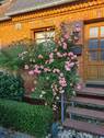 Haustür .jpg - 4 Zimmer Reihenmittelhaus zum Kaufen in Nortorf