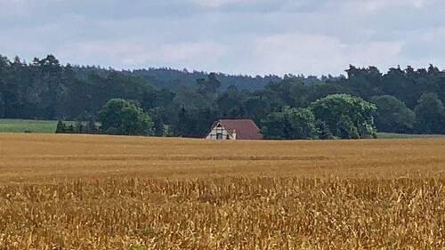 BILD1 - Exklusives Anwesen in absoluter Alleinlage mit Badeteich- Nebengelass- Ausbaureserve- Krakow am See