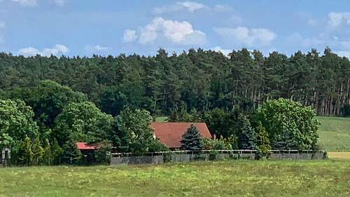 BILD2 - 5 Zimmer Einfamilienhaus zum Kaufen in Krakow am See