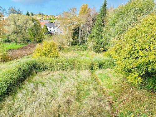 Mit riesigem Grundstück - 