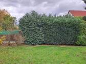 Garten 1 - 