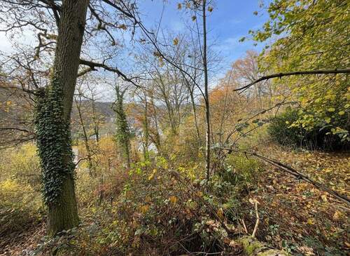 Grundstück - Grundstück zum Kaufen in Eppstein
