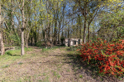 Blick ins Wäldchen - Grundstück in Falkensee zum Kaufen