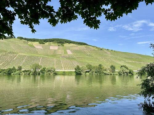 kurze Wege zur Mosel - 