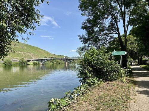 Moselufer / Radweg - 