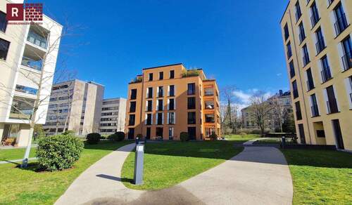 Haus - 