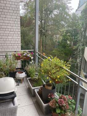 Bild 16 - 