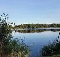 individuell + großzügig + hell + am Heiligensee - Berlin