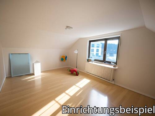 Zimmer DG - 