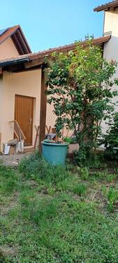 Gartenhaus - Mehrfamilienhaus, Wohnhaus mit 198,00 m&sup2; in Höttingen zum Kaufen