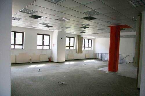 _ - großzügiges Gewerbe + große Lagerfläche + 7 Stellplätze --- nahe S-Bhf. Marienfelde