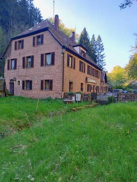 Blick vom Grundstück - 1 Zimmer Mehrfamilienhaus, Wohnhaus zum Kaufen in Sattelmühle