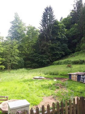Weide - 