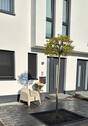 Strassenansicht - Doppelhaushälfte mit 157,00 m&sup2; in Neuss zur Miete