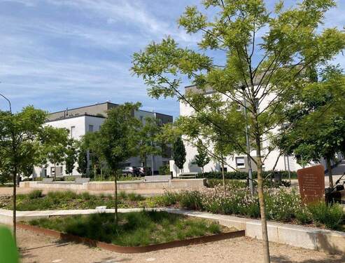 Baugé-Platz - 
