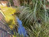 Bild 14 - 