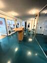 Büroflur/Eingangsbereich - 