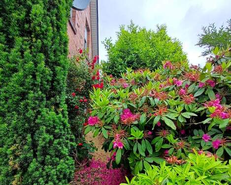 Garten - 