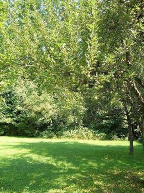 Garten Bild 2.jpg - 