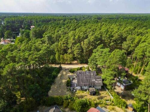 Luftbild mit Wald - 