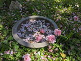 Bild 29 - 