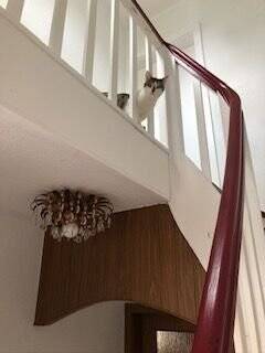 Bild 14 - 