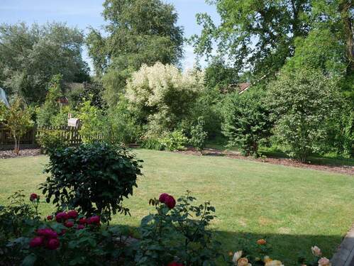 Blick in den Garten - 