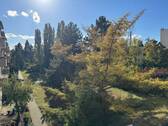 Der Hofgarten - 