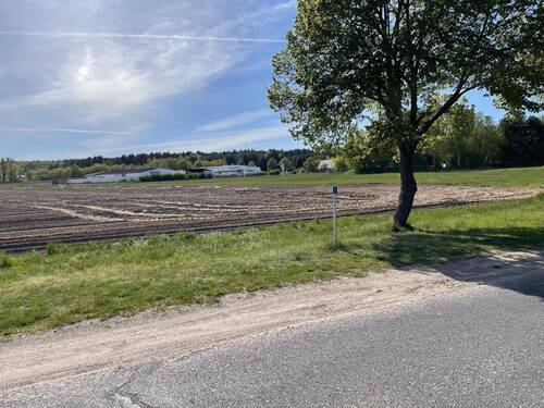 Freies Feld gegenüber - Grundstück zum Kaufen in Neuhardenberg