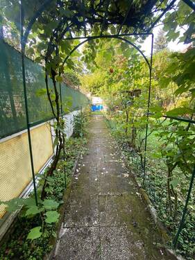 WhatsApp Image 2024-09-25 at 14.16.01 (7) - 