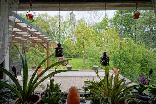 Ausblick vom Wohnzimmer - 