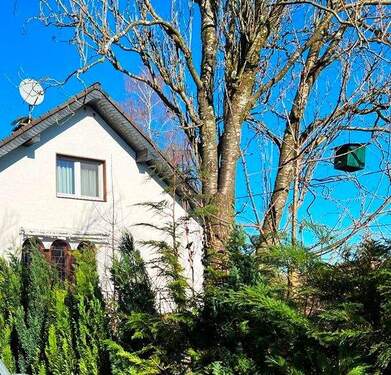 Ansicht - Ein- bis Zweifamilienhaus mit 'Gästehaus'