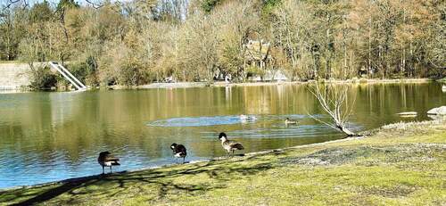 Impressionen Westpark - 