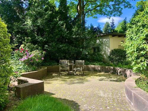Gemeinschaftsgarten - 