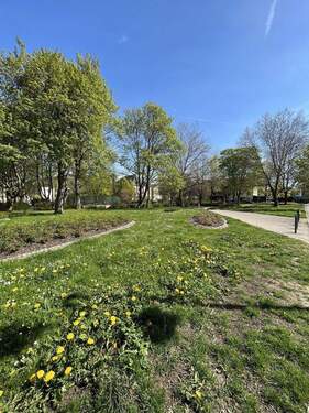 nahegelegener Park - 