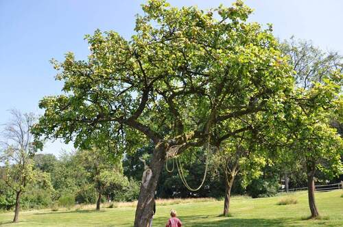 Streuobstwiese - 7 Zimmer Einfamilienhaus zum Kaufen in Stolberg (Rhld.)