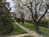 PXL_20250415_124627703 - 
